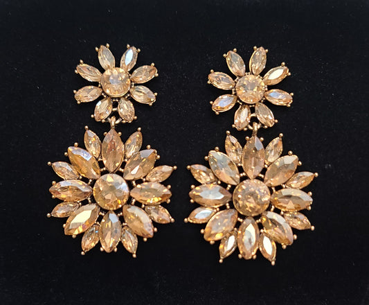 Special Occasion Earrings-Gold